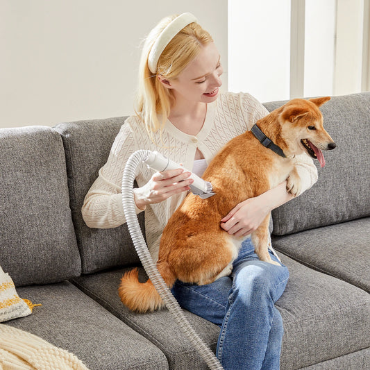 Professional Cordless Pet Grooming Vacuum Kit